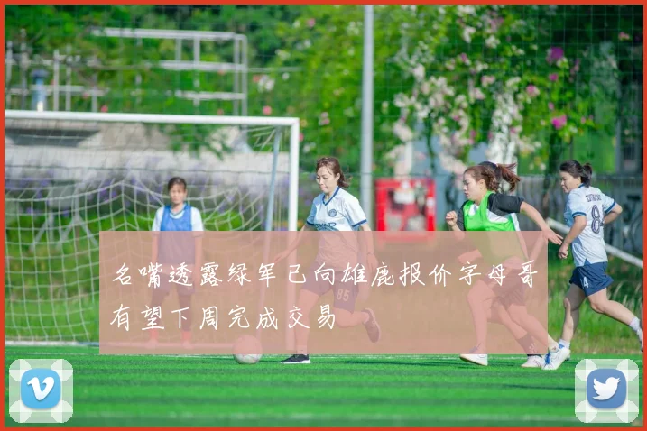 名嘴透露绿军已向雄鹿报价字母哥有望下周完成交易